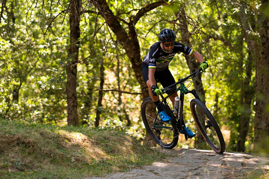 Cannondale (12) Cannondale (12)