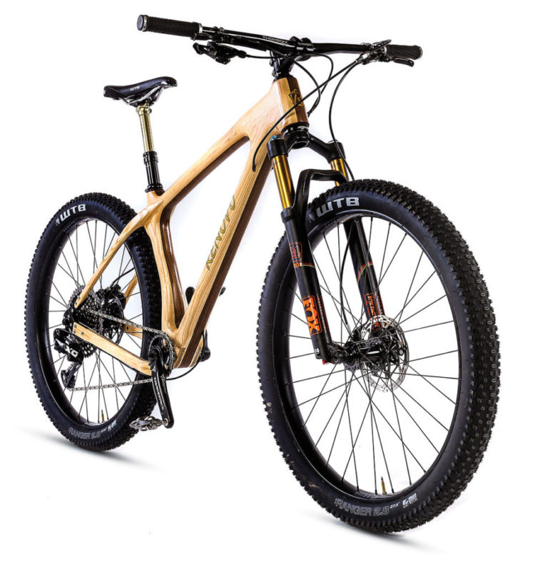10 bicis MTB que vienen de los árboles 10 bicis MTB que vienen de los árboles