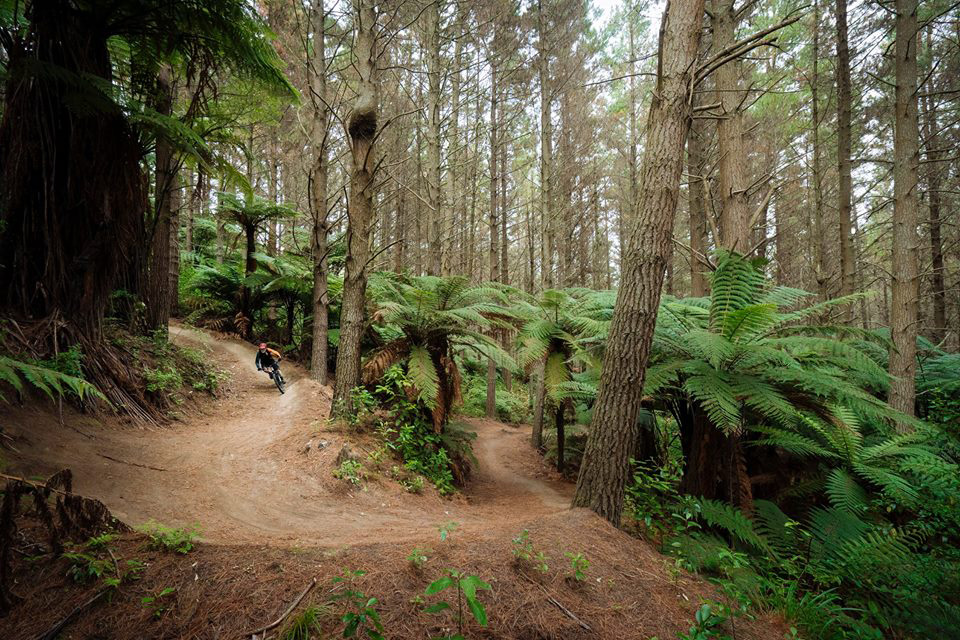 Enduro World Series 2019: Rotorua da comienzo Enduro World Series 2019: Rotorua da comienzo