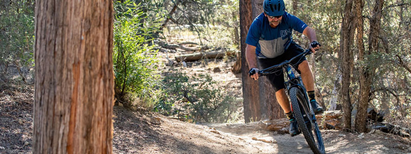 Entrenar en rodillo: ¿Lo sabes todo? Entrenar en rodillo: ¿Lo sabes todo?