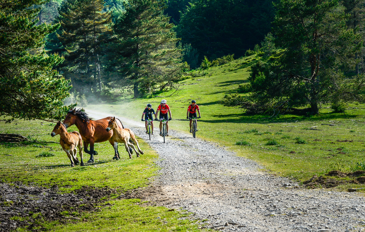 TRANSPYR GRAN RAID MTB 2020: así son sus recorridos