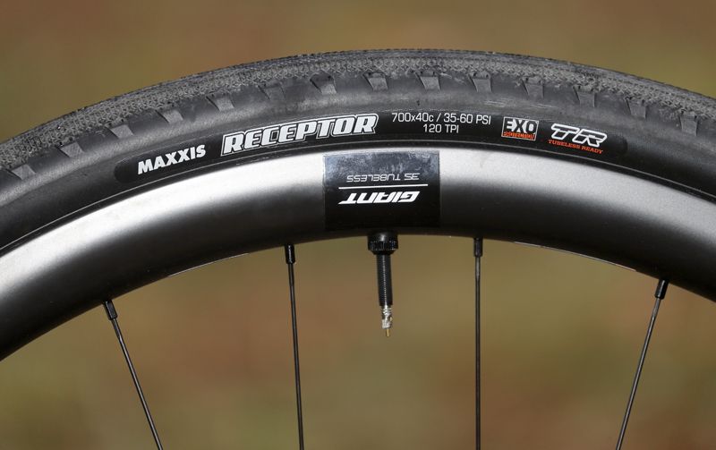 Giant Revolt Advanced 0 detalle 1