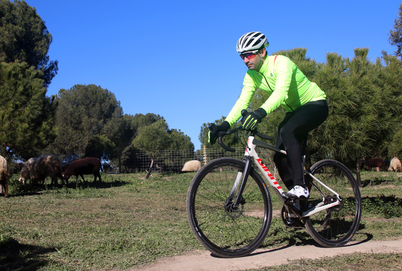 Especial Bicis Gravel: test Giant Revolt Especial Bicis Gravel: test Giant Revolt