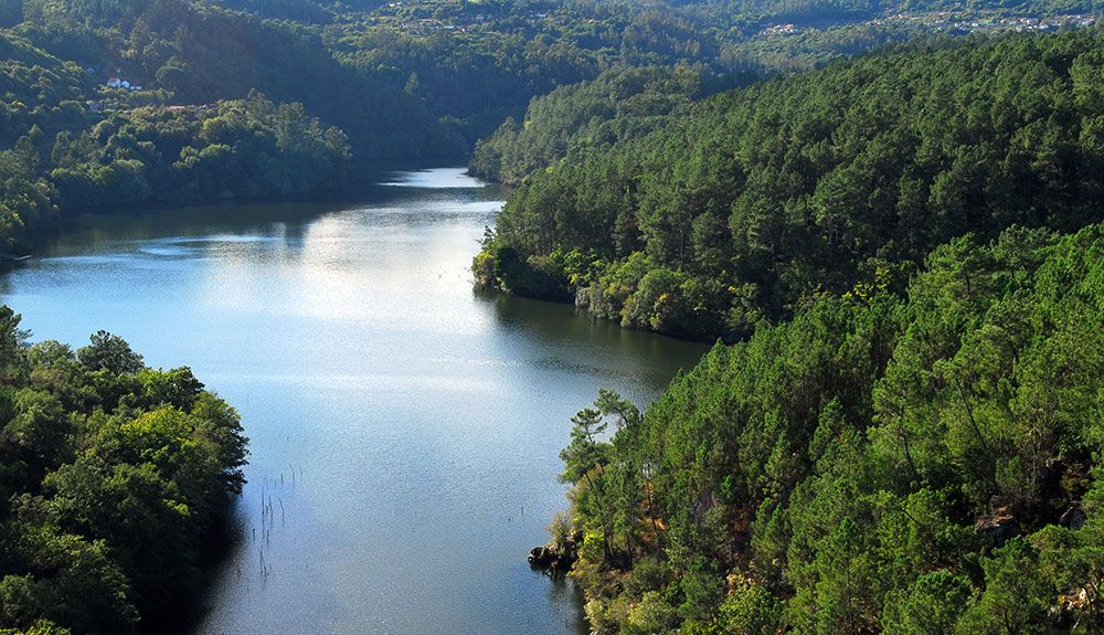 Desembocadura del Río Deva, una maravilla ambiental Desembocadura del Río Deva, una maravilla ambiental