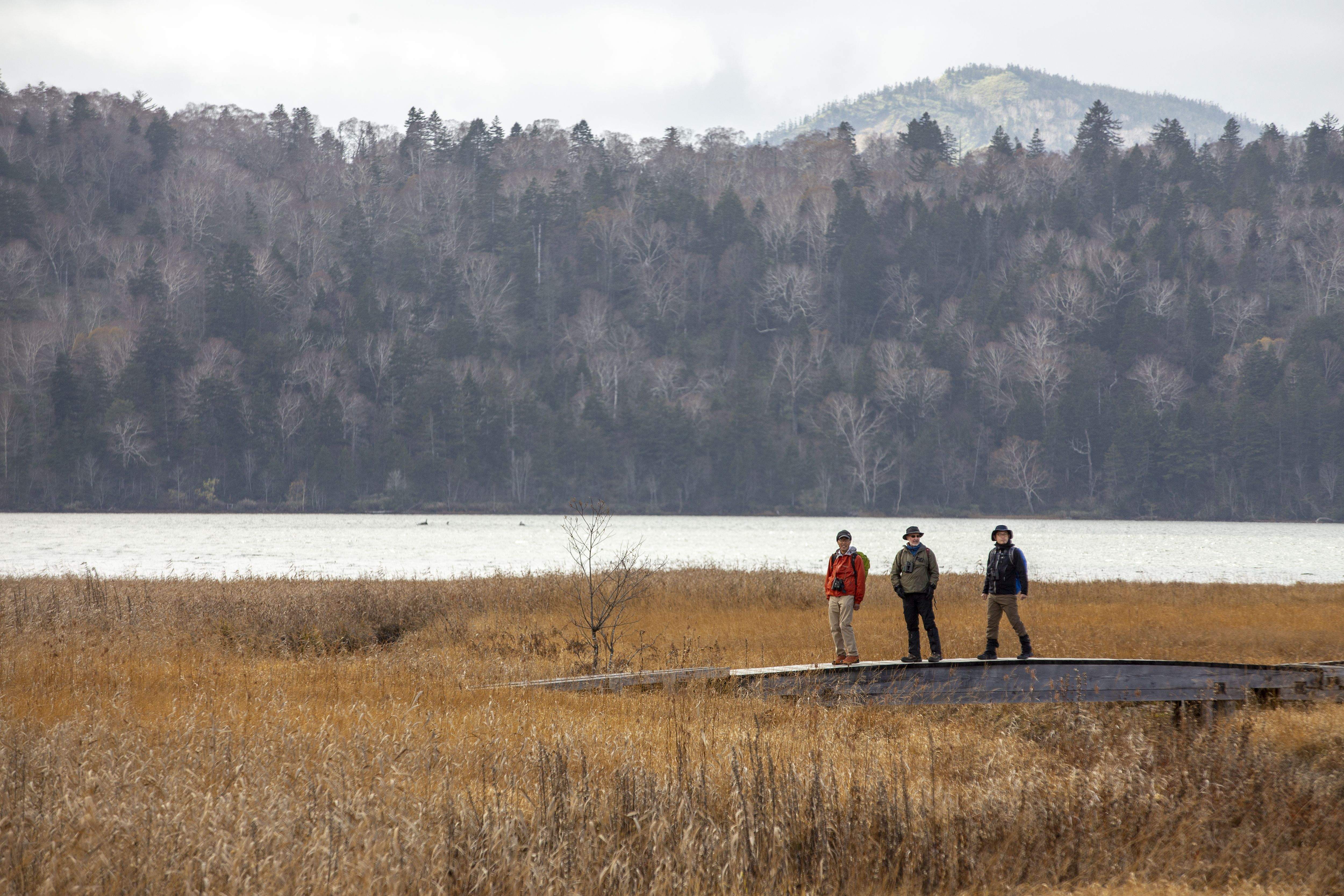 Parque Nacional Oze, en Fukushima Parque Nacional Oze, en Fukushima
