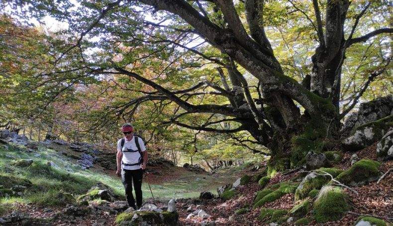 Cumbres de Gorbeia