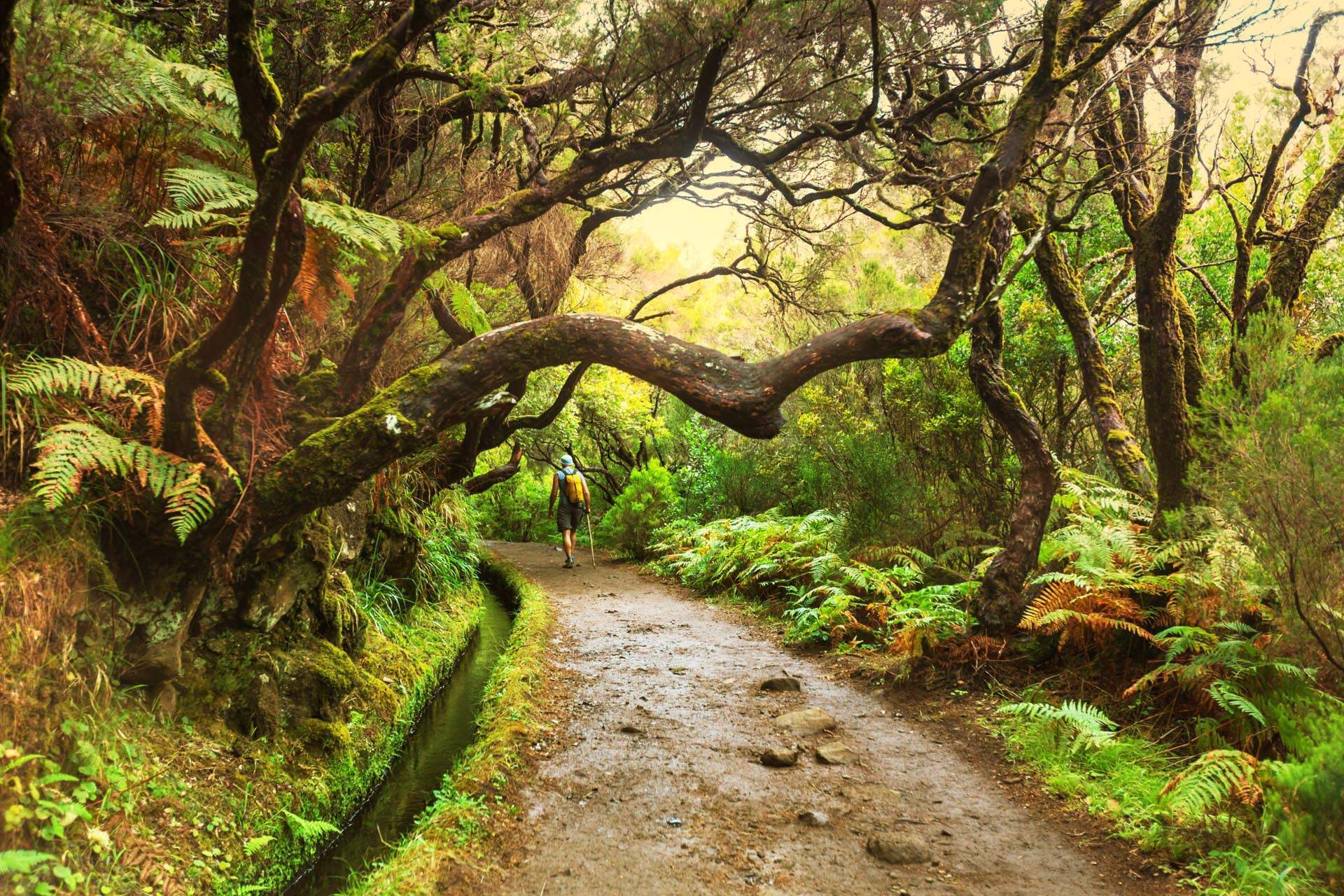¡Sorteo de una plaza para viajar en grupo a Madeira!