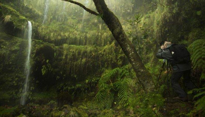Madeira