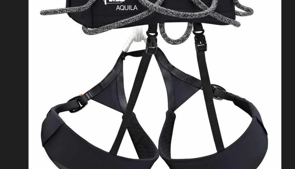 arnes petzl