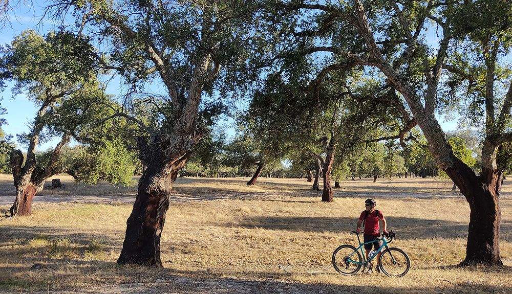 En bici de gravel por las dehesas de Monfragüe