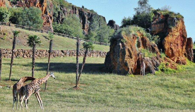 cantabria parque cabarceno