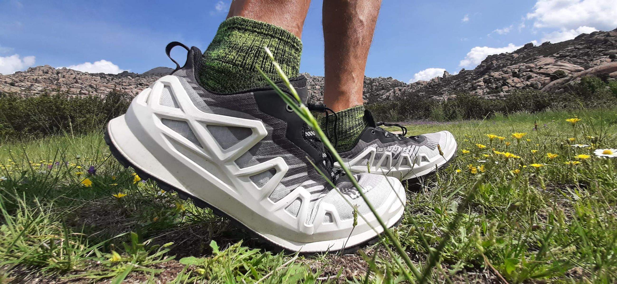 Lowa Merger Low GTX