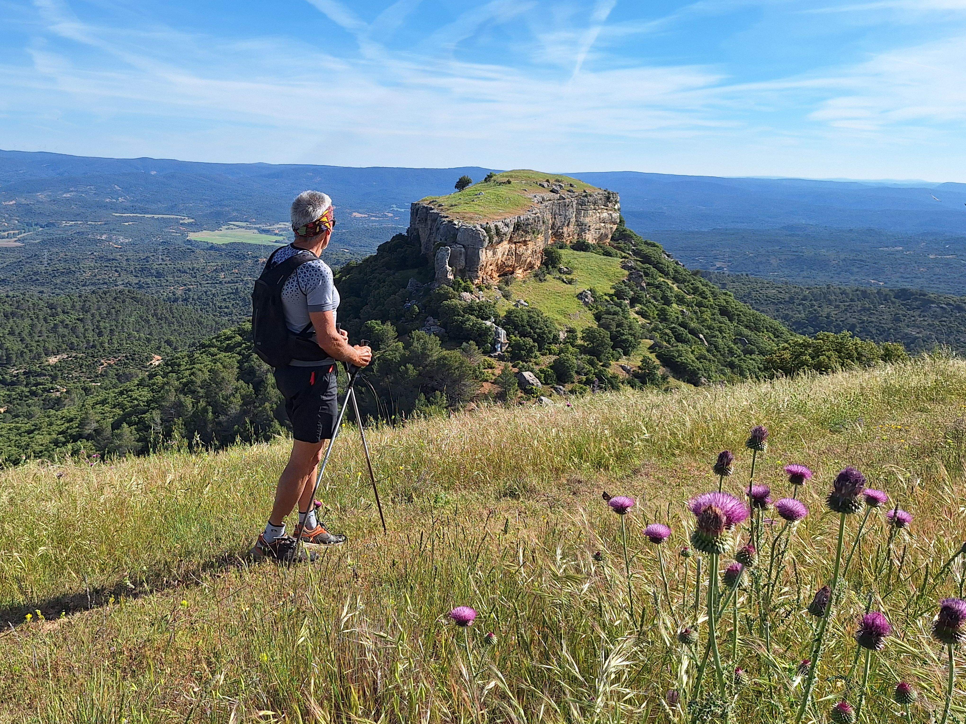 Tetas de Viana, las torres gemelas de la Alcarria
