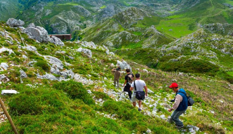 Excursionistas AdobeStock