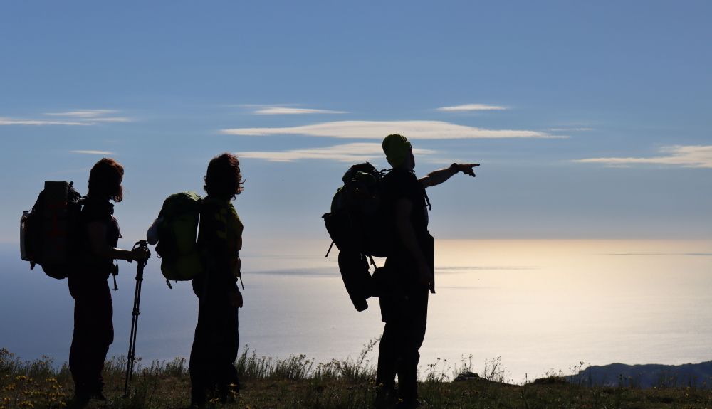 @Dimas
