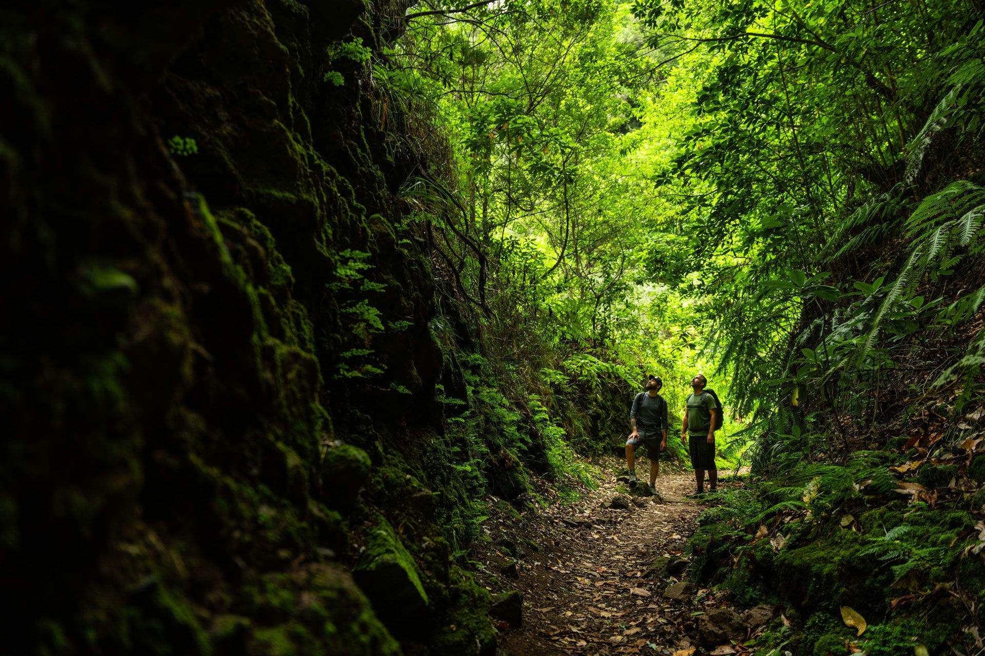 madeira insólita