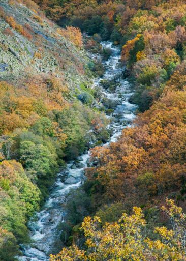 Otoño en el Valle del Jerte. Foto: Turismo Valle del Jerte