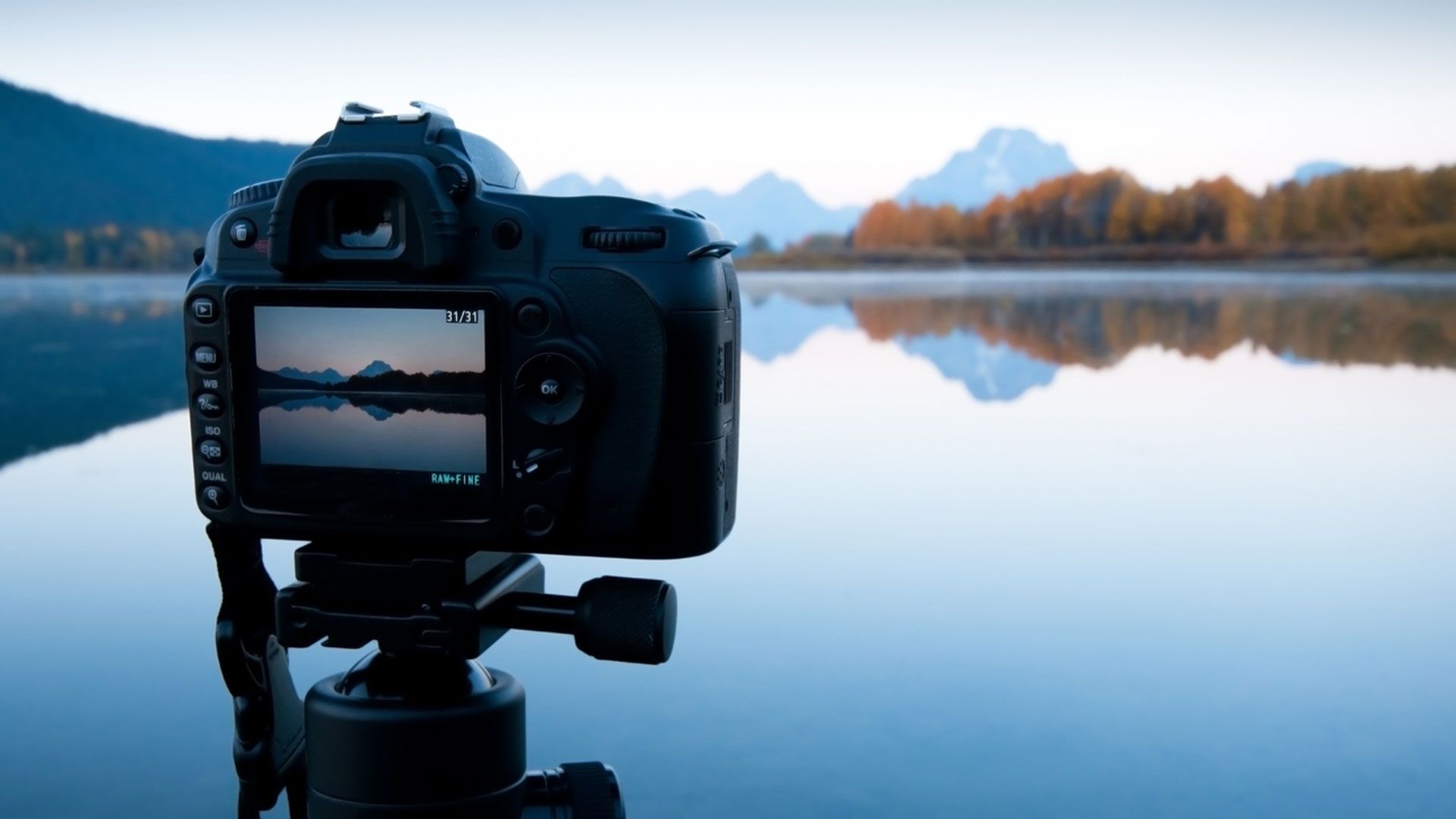 Curso de fotografía en la naturaleza con LEXUS: Aprende a ajustar los parámetros de la cámara