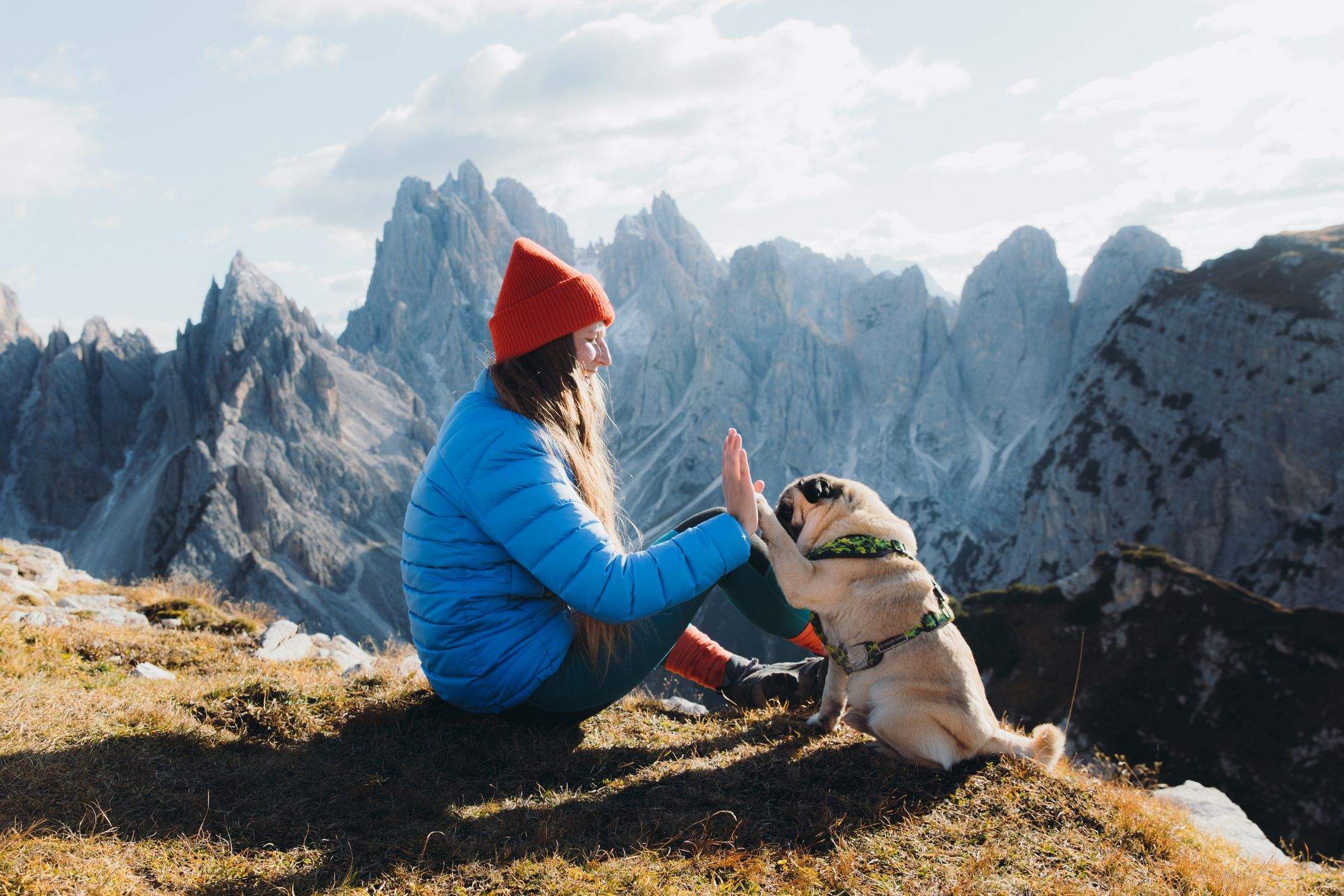Perros y animales en la naturaleza: cómo comportarnos