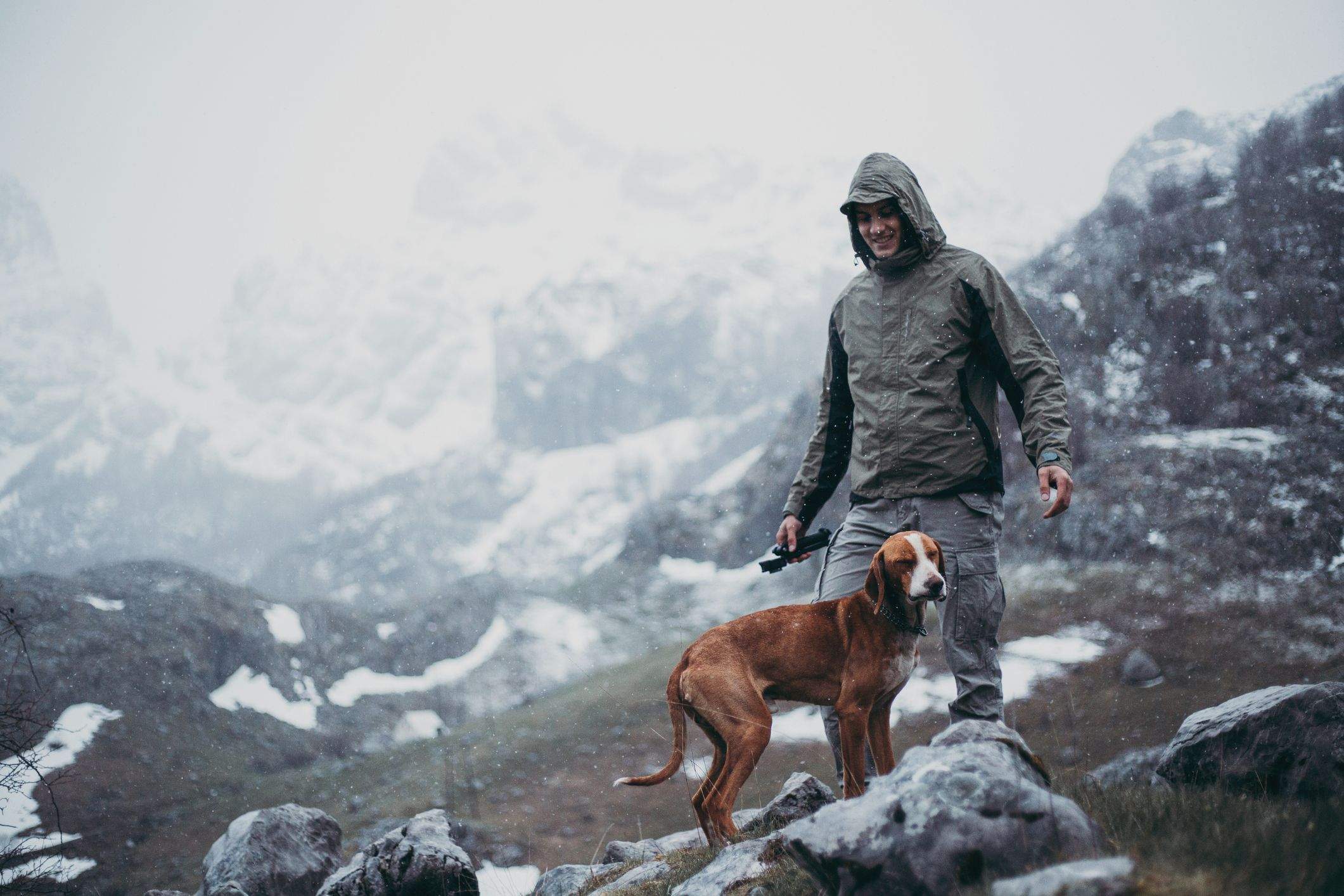 Consejos para proteger a tu perro de la lluvia Consejos para proteger a tu perro de la lluvia