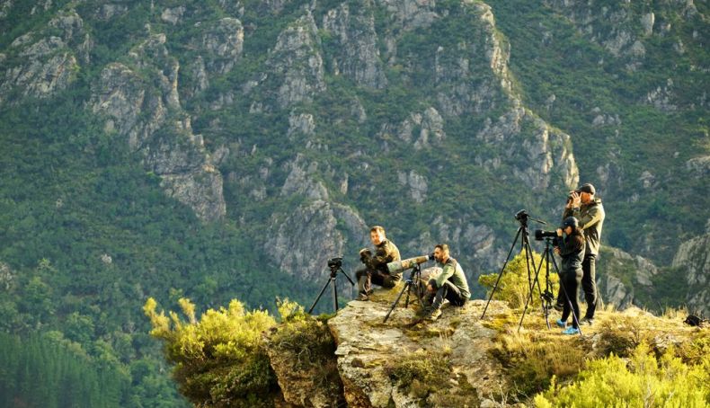 Observación Fauna Juan de Tury