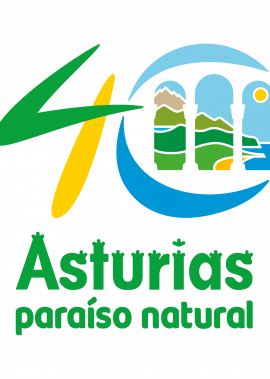 40 APN sinCO cast vert poli ar