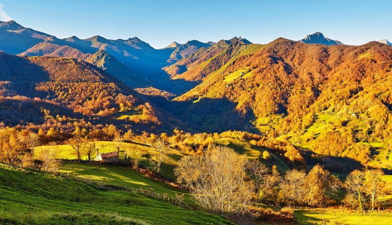 Hayedo de Valgrande   Vista Panorámica desde Pajares Original
