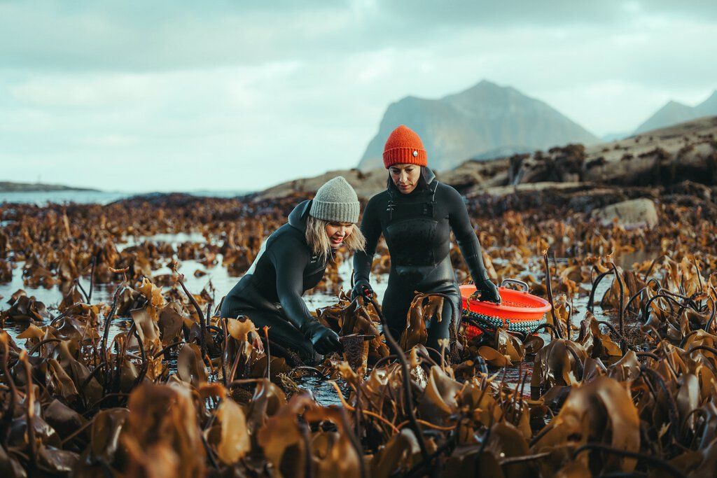 Lofoten y Vesterålen: el corazón salvaje de Noruega Lofoten y Vesterålen: el corazón salvaje de Noruega