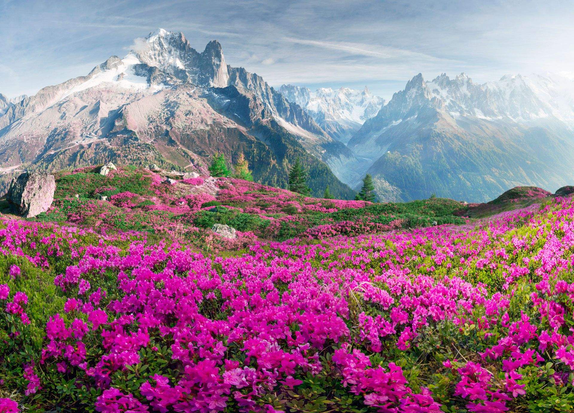 Suiza Eurocopa2025