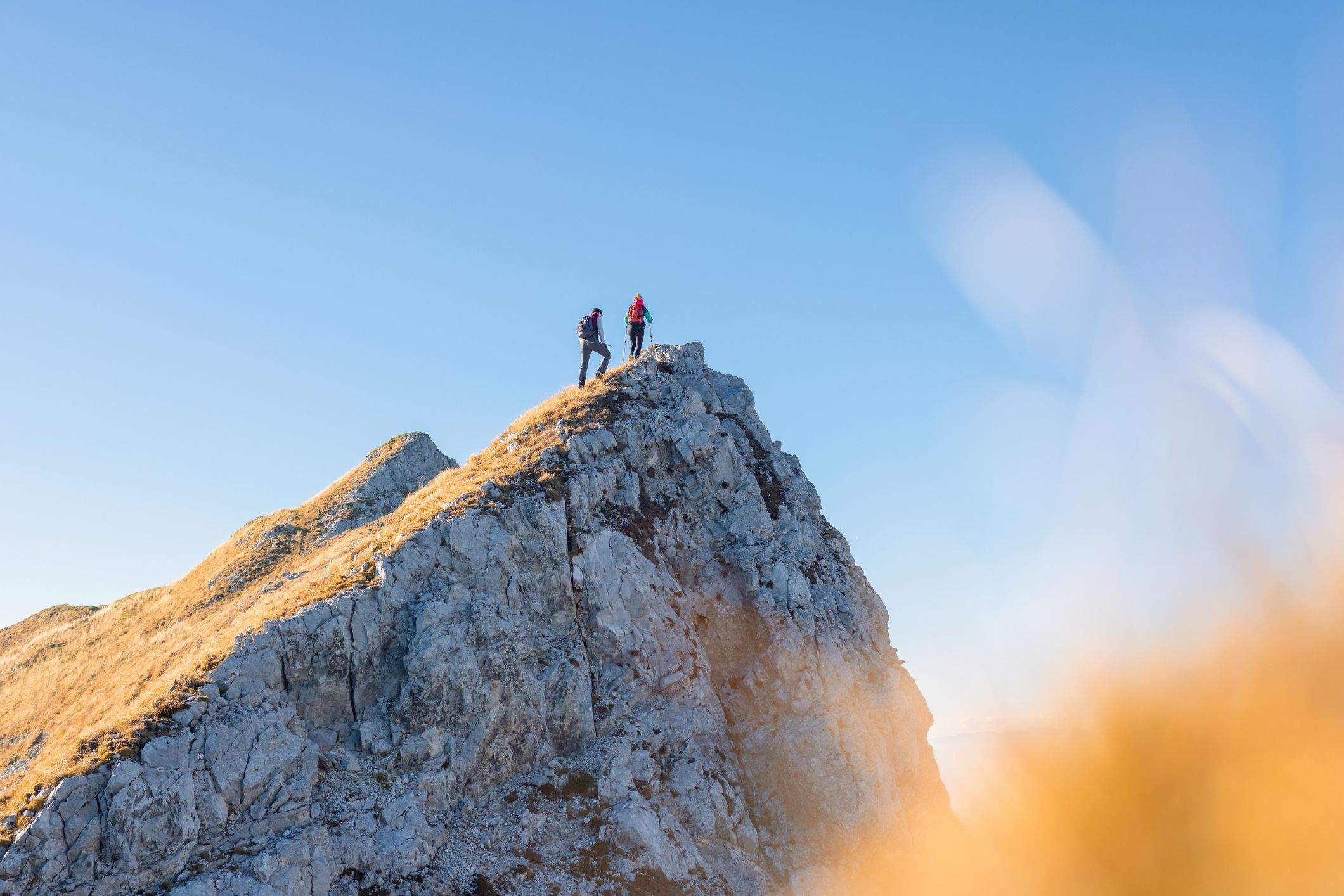 ¡Quiero hacer crestas! 5 cosas que deberías saber antes