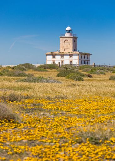 Faro 2
