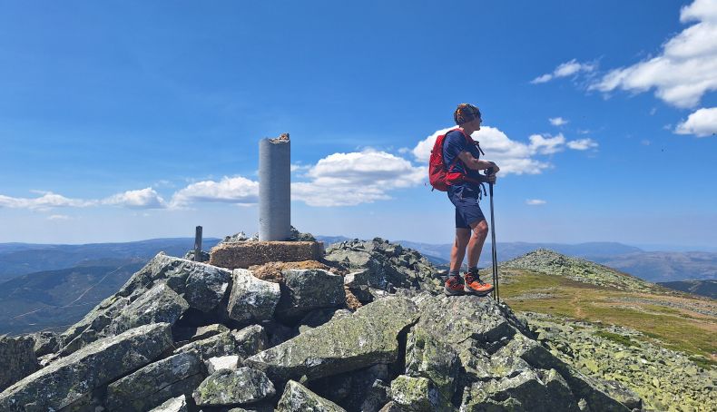 Vizcodillo (45)