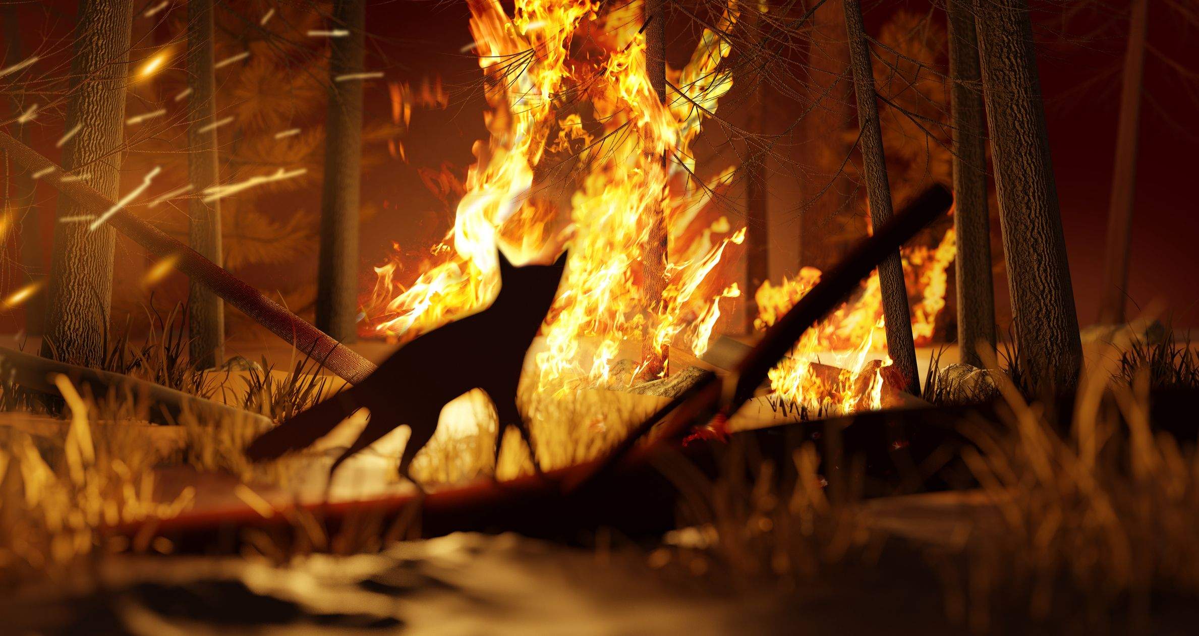 7 acciones esenciales para evitar incendios en la naturaleza 7 acciones esenciales para evitar incendios en la naturaleza