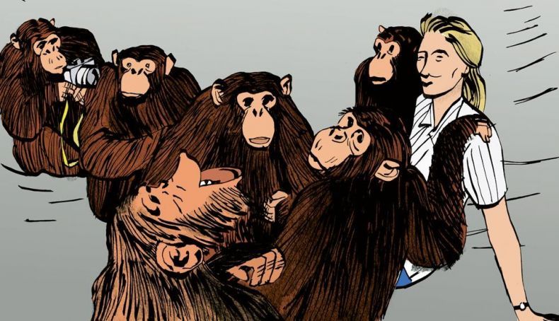 In memoriam: Jane Goodall. Ilustración: César Llaguno / Revista Oxígeno