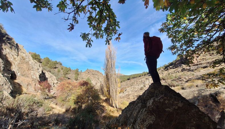 Alamos (27)