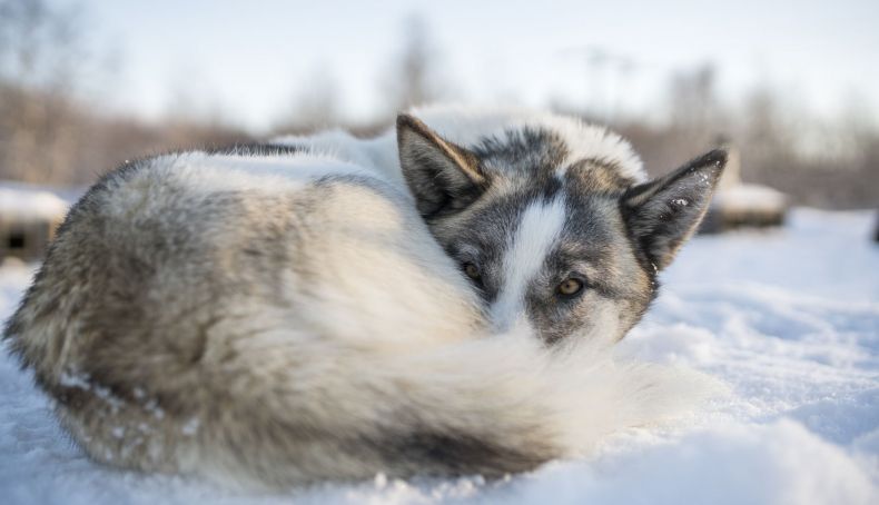 iStock 1094635370