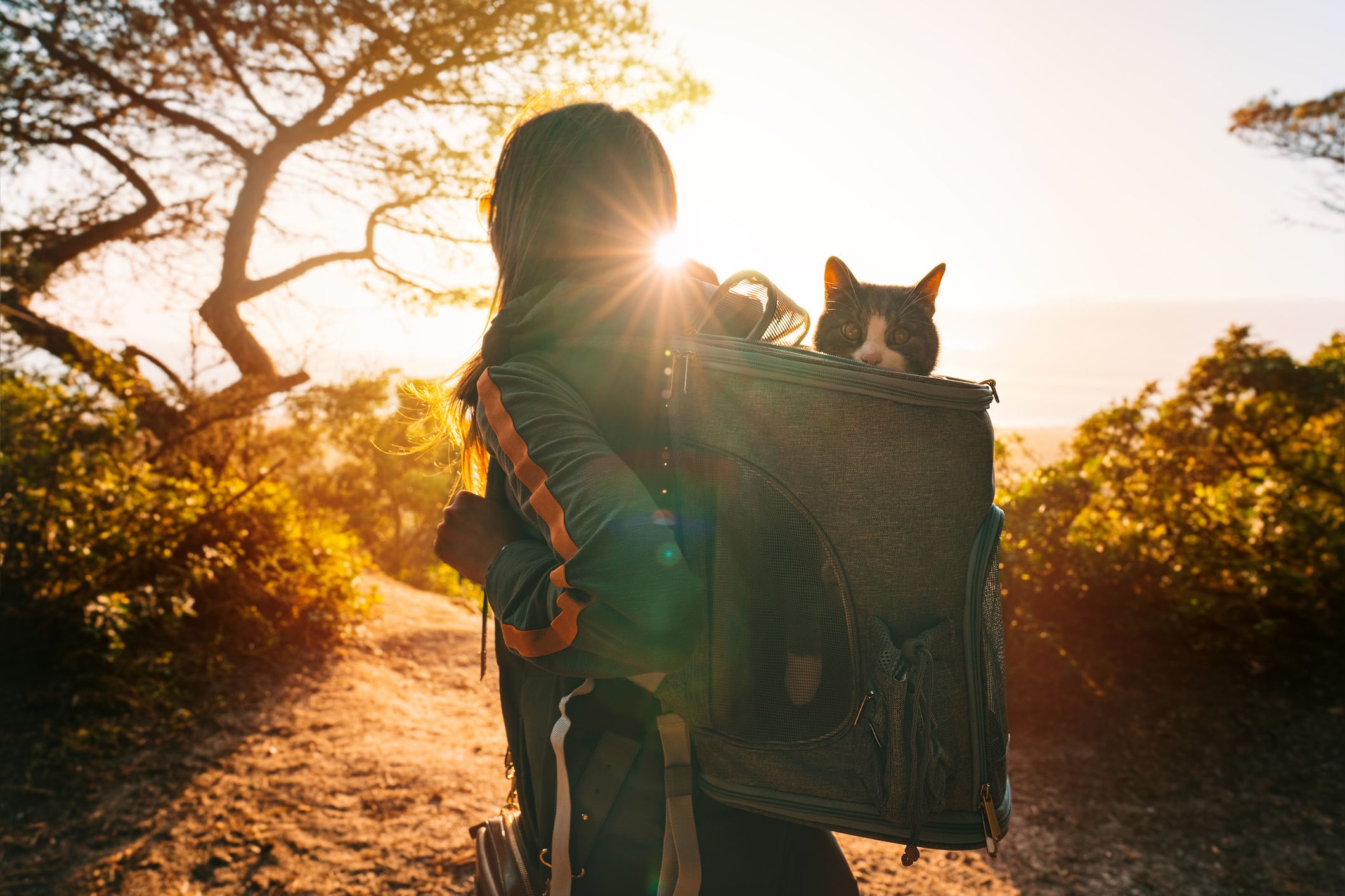 Consejos para viajar con tu mascota en Semana Santa