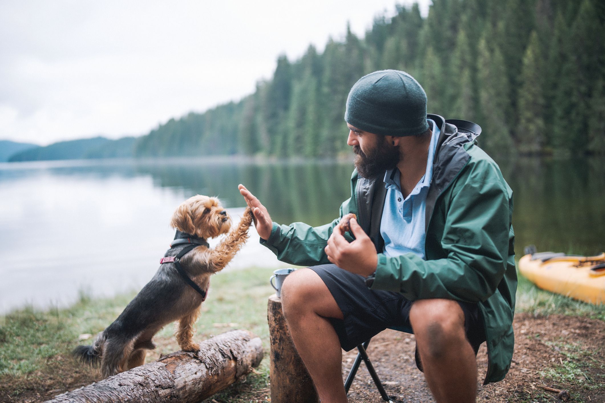 Alimentación natural para una larga vida de aventuras con tu mascota