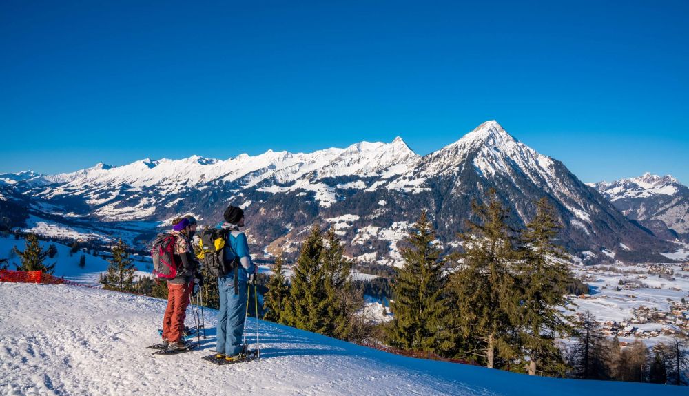 aeschi schneeschuhlaufen winter niesen