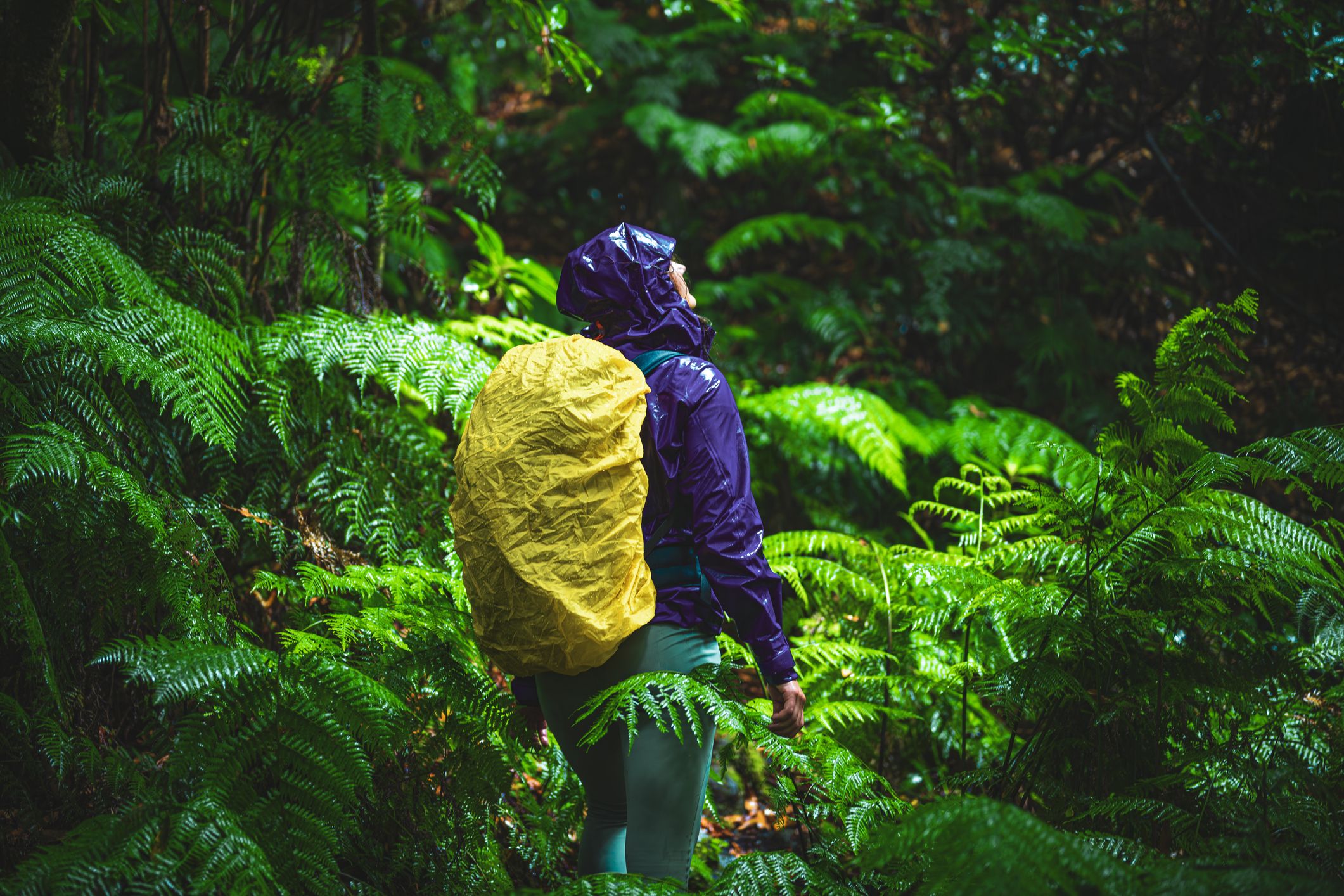 Chaquetas de lluvia: 5 cosas que quizá nadie te ha contado