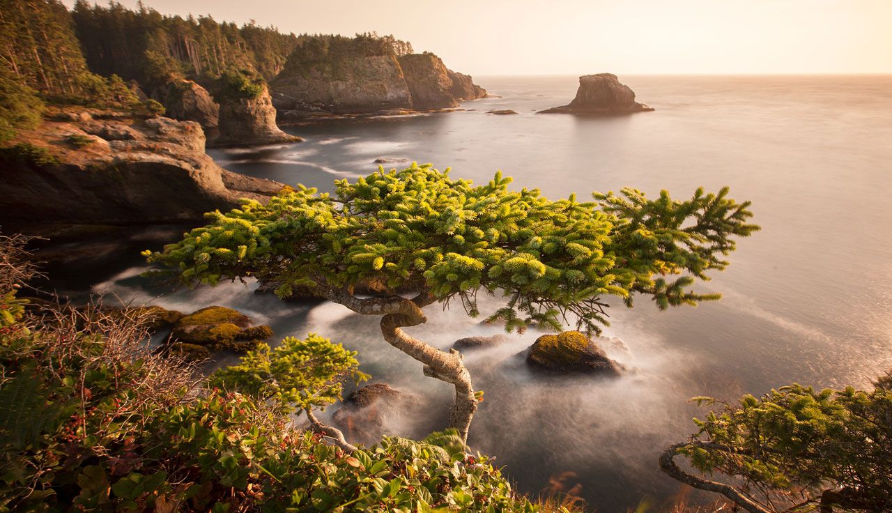 Olympic National Park