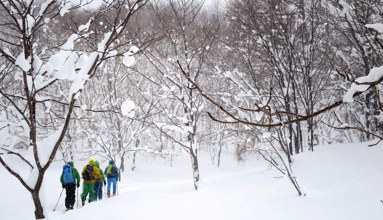 Skimo en Hokkaido