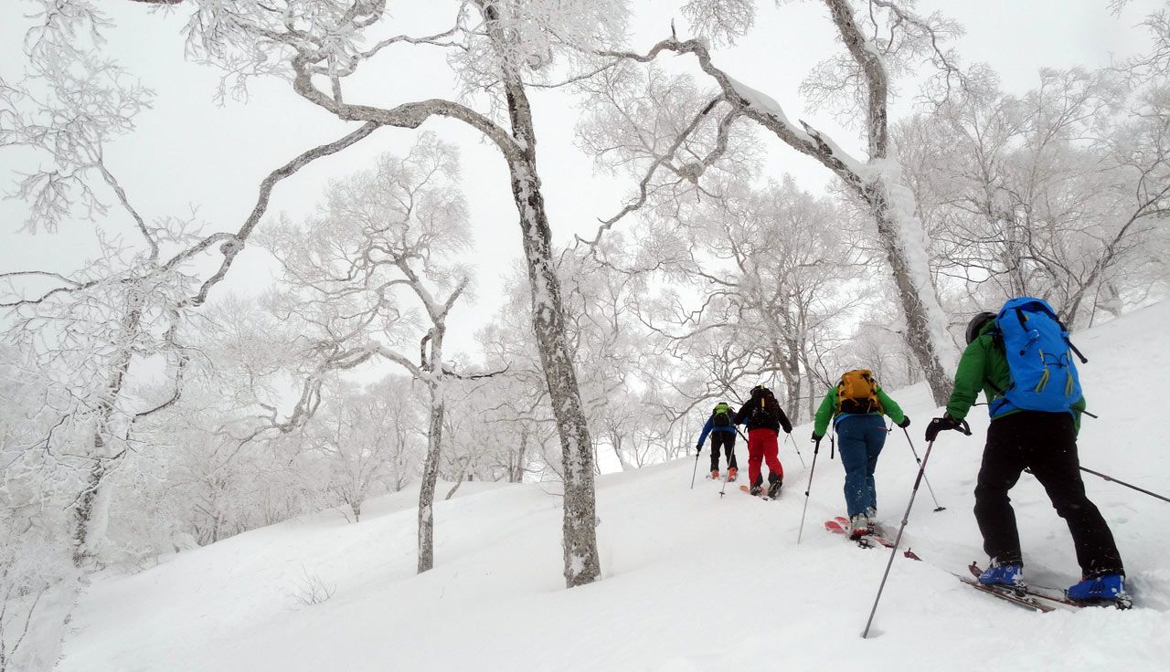 Skimo en Hokkaido