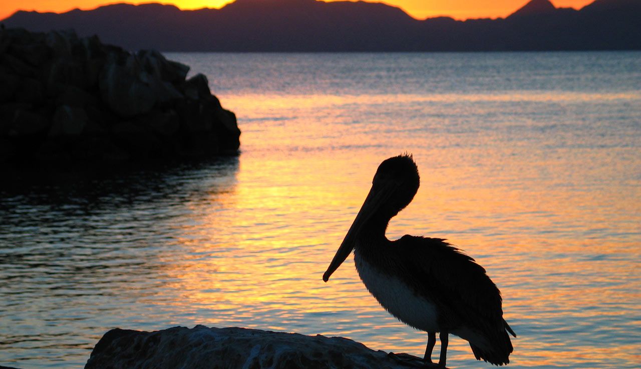 Kayak Baja California