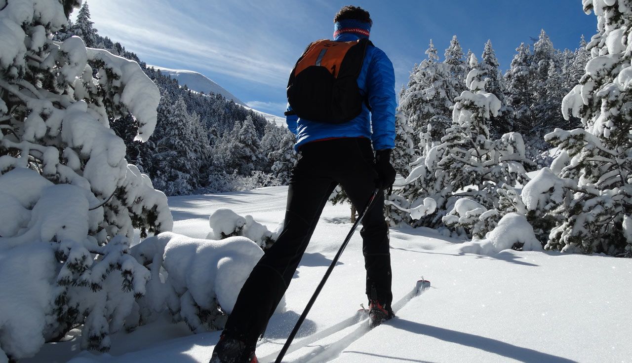 Cerdaña invernal