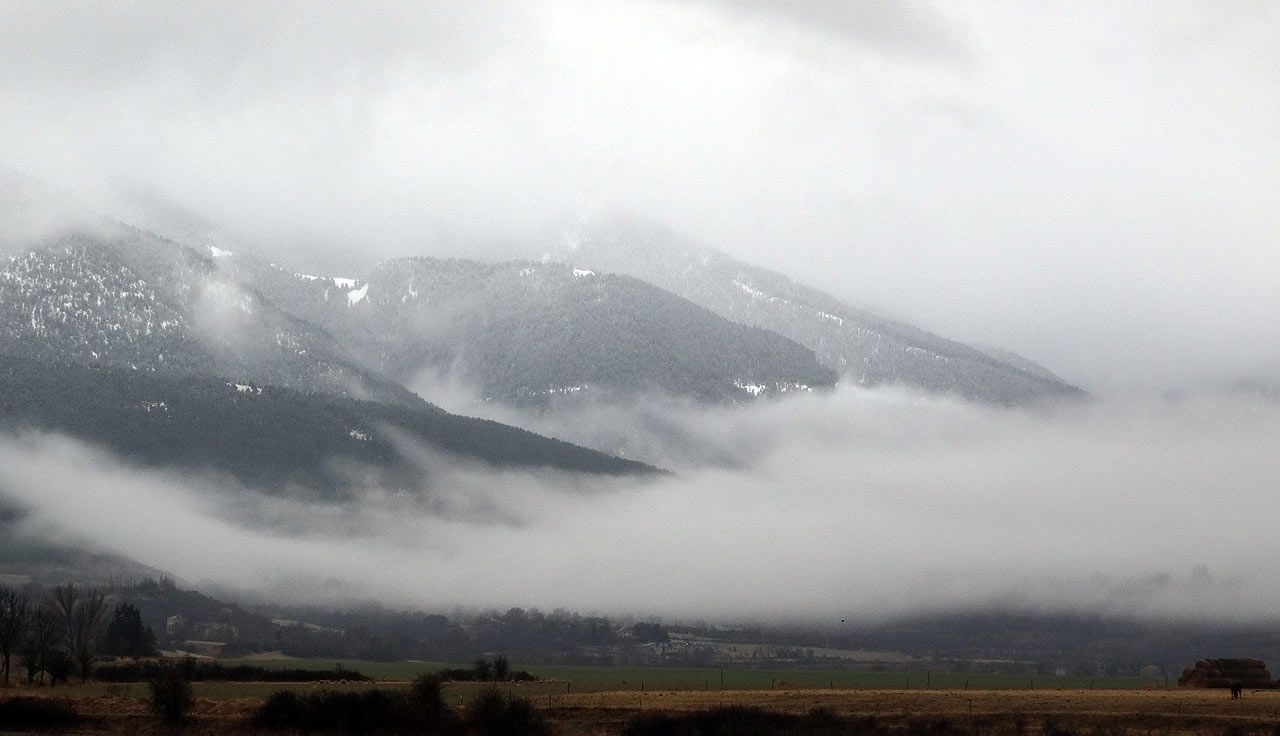 Cerdaña invernal
