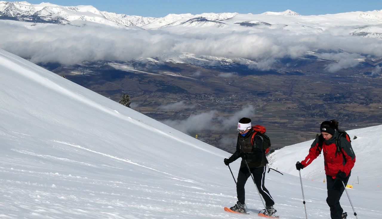 Cerdaña invernal