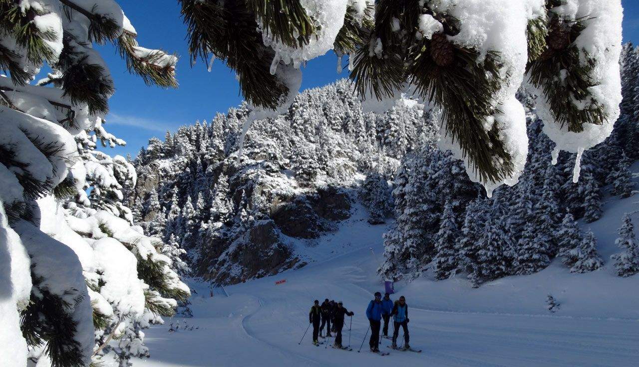 Cerdaña invernal