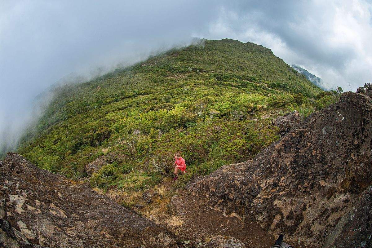 ¡Sorteamos un viaje a Costa Rica!