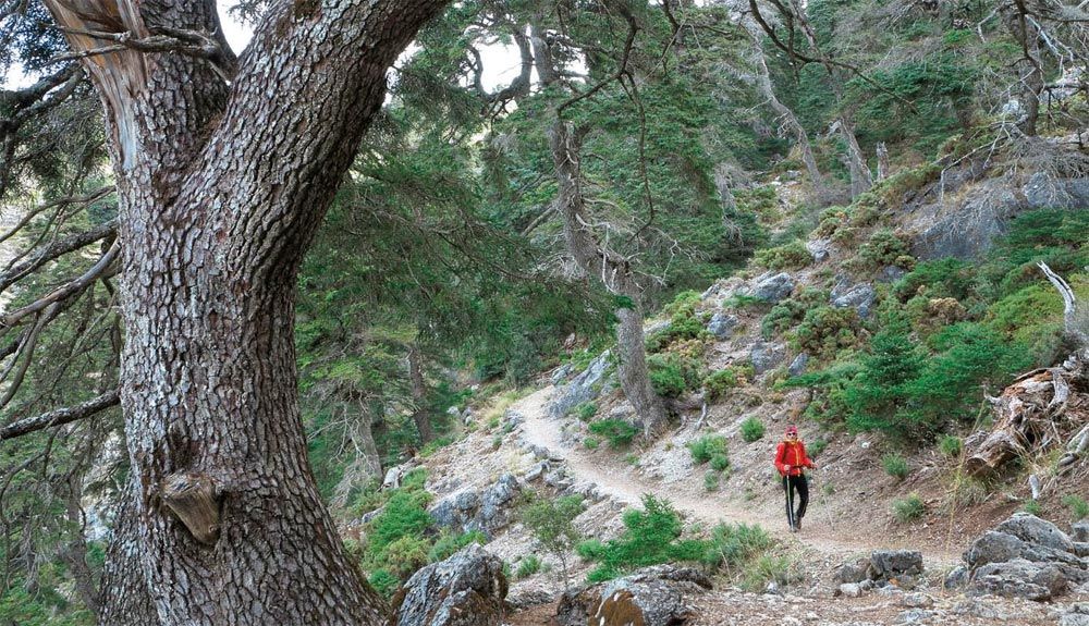 Sierra de las Nieves   3 ascensiones